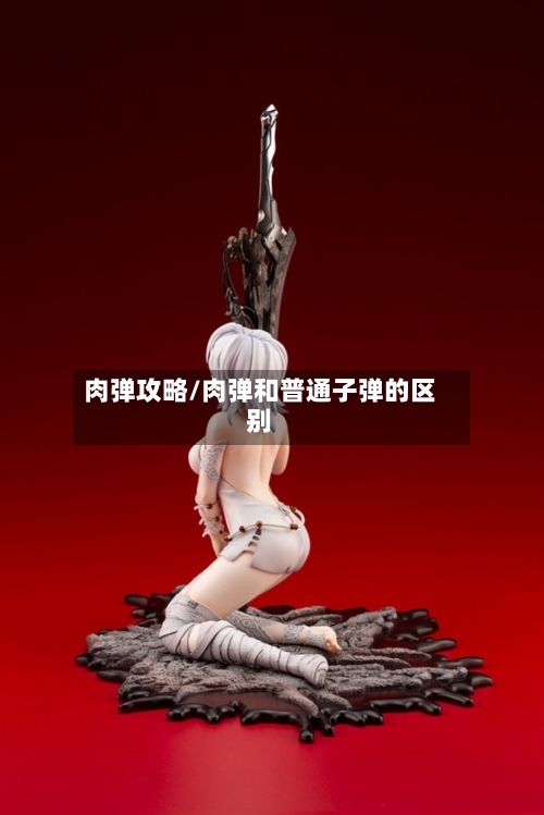 肉弹攻略/肉弹和普通子弹的区别-第3张图片