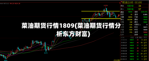 菜油期货行情1809(菜油期货行情分析东方财富)-第2张图片