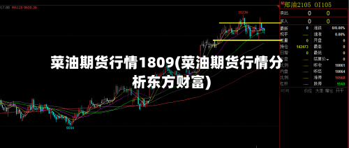 菜油期货行情1809(菜油期货行情分析东方财富)-第3张图片