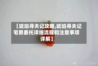 【琥珀寻夫记攻略,琥珀寻夫记宅男委托详细流程和注意事项详解】-第1张图片