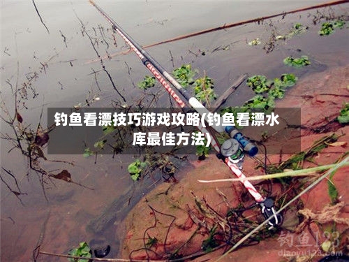钓鱼看漂技巧游戏攻略(钓鱼看漂水库最佳方法)-第2张图片