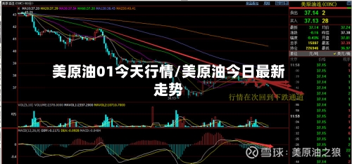 美原油01今天行情/美原油今日最新走势-第2张图片