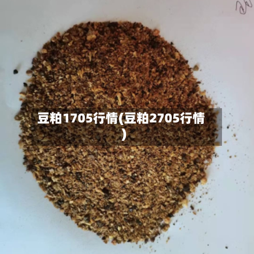 豆粕1705行情(豆粕2705行情)-第1张图片