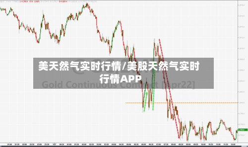 美天然气实时行情/美股天然气实时行情APP