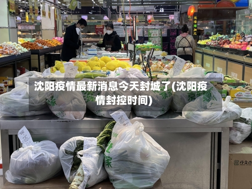沈阳疫情最新消息今天封城了(沈阳疫情封控时间)-第2张图片