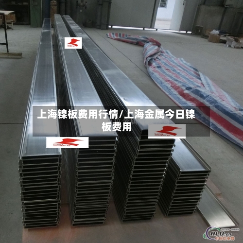 上海镍板费用行情/上海金属今日镍板费用
