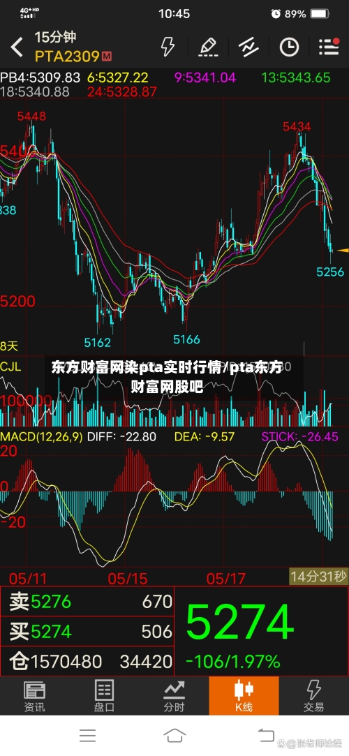 东方财富网染pta实时行情/pta东方财富网股吧-第3张图片