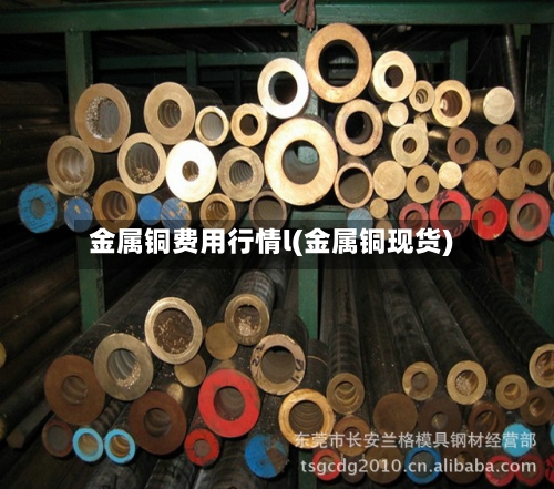 金属铜费用行情l(金属铜现货)-第2张图片