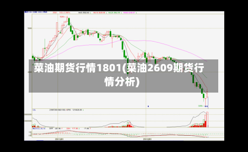 菜油期货行情1801(菜油2609期货行情分析)-第1张图片