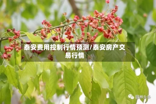 泰安费用控制行情预测/泰安房产交易行情