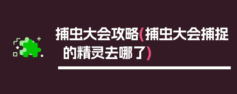 捕虫大会攻略(捕虫大会捕捉的精灵去哪了)
