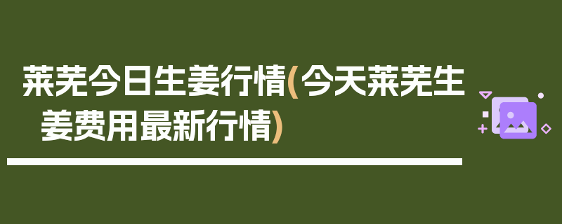 莱芜今日生姜行情(今天莱芜生姜费用最新行情)